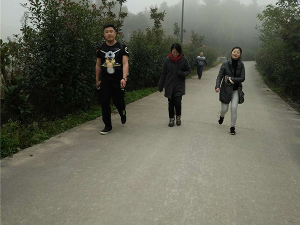 雾中小路