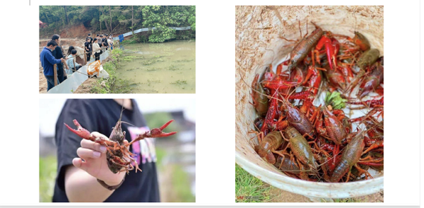 休闲好玩的五星农庄——钓龙虾的季节来啦！！！