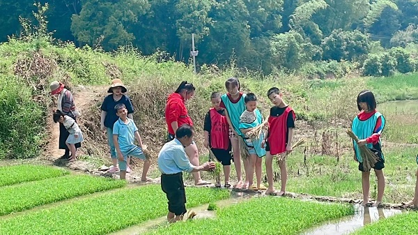 回归自然丨探索未知 体验乡村农耕文化